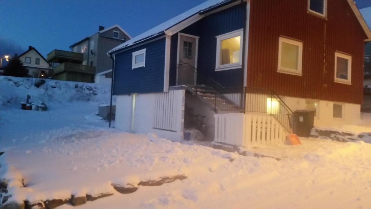 شقة Blue House I At The End Of The World ميهامن المظهر الخارجي الصورة